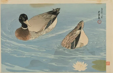 Canards, ère Taisho, août 1920 (impression sur bois en couleur)