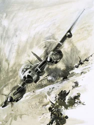 Des moustiques bombardent la prison d