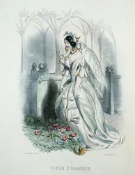 La fleur d