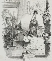 Chien et porc-épic, caricature de Jean-Jacques Grandville (1803-1847), lithographie de Giovanni Mariani de Poliorama Pittoresco, n 38, 30 avril