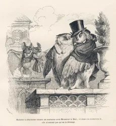 Chauve-souris écoutant une chouette et un hibou chanter