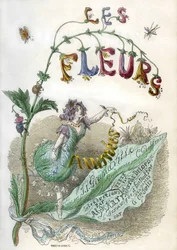 Frontispice du livre "Les Fleurs animées", illustré par Grandville, gravure colorée au pochoir. Édition Gonet 1857