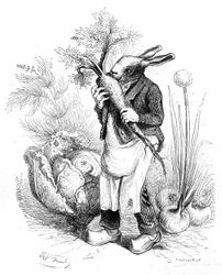 Gravure de Grandville, tirée du livre « Vie privée et publique des animaux (Les animaux peints par eux-mêmes) », édition Hetzel 1867. Lapin jardinier aux sabots croquant une carotte dans son potager ou cultivant des légumes (oignons et choux).