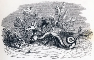 Le dragon a plusieurs têtes et le dragon a plusieurs queues - Fables de La Fontaine