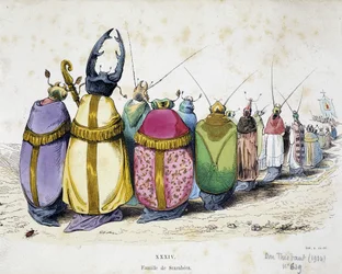 Procession de coléoptères portant des habits ecclésiastiques - caricature anticléricale de Grandville tirée des «Métamorphoses du jour», 1829