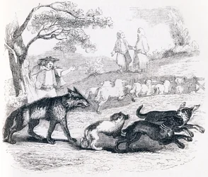 Le bassa et le marchand - Fables de La Fontaine