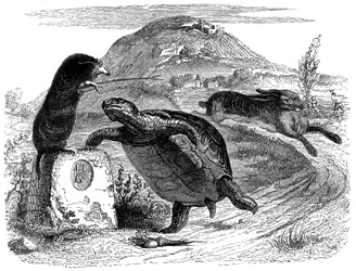 Le lièvre et la tortue : fable de La Fontaine illustrée par Grandville