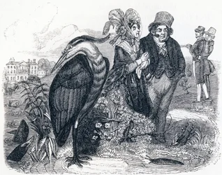 Le héron - Fables de La Fontaine