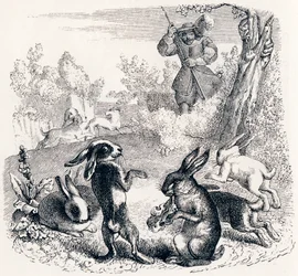 Les lapins - Fables de La Fontaine
