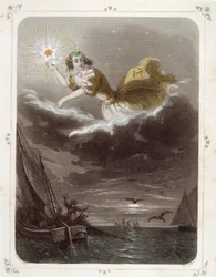 Étoile du marin (détail)