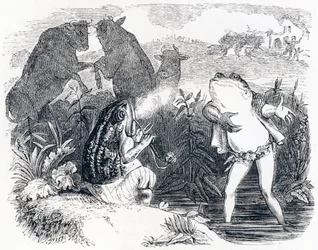 Les deux taureaux et une grenouille - Fables de La Fontaine