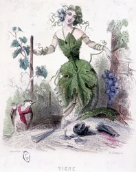 Femme, allégorie de la vigne - dessin par Grandville