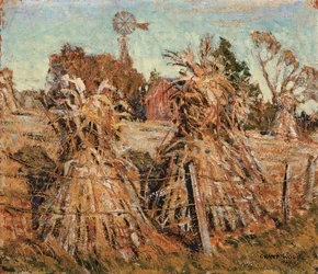 Le champ de maïs