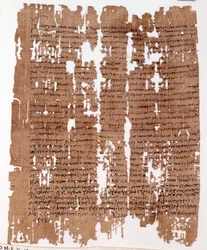 Papyrus juridique grec daté du 26 juillet 118 après J.-C. : division des terres entre les locataires