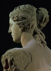 Vénus de Milo (détail)