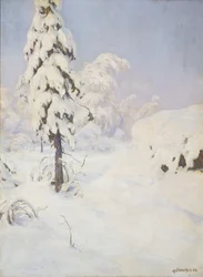 Hiver dans la forêt
