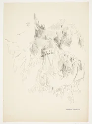 Étude de branches