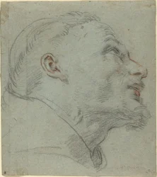Tête de Saint François
