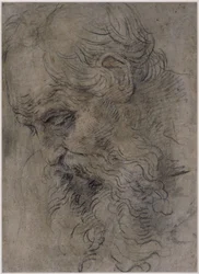 Tête de saint Paul ermite