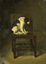 Un chien sur une chaise