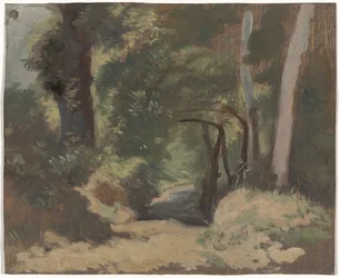 Chemin forestier