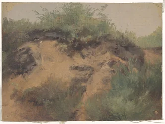 Dune