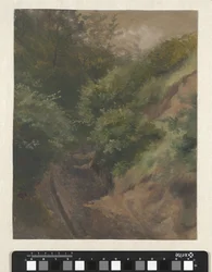 Chemin de dune