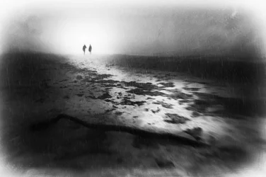 Promenade hivernale dans la brume