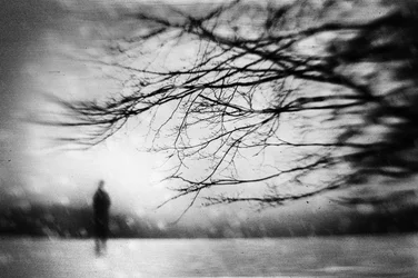 Silhouette solitaire dans la brume hivernale