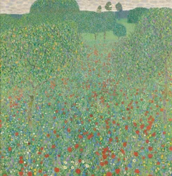 Champ de coquelicots