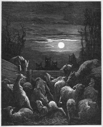 Les Loups et les Ébis - des 
