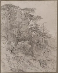 Arbres sur une colline rocheuse