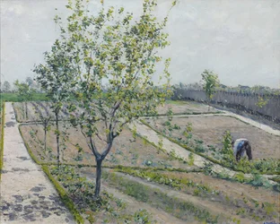 Jardin potager, Petit Gennevilliers