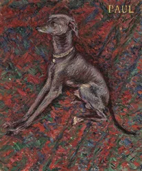 Le chien 