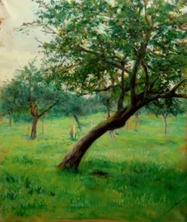 Verger, aussi appelé Verger en Normandie