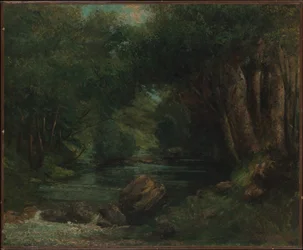 Un ruisseau dans la forêt