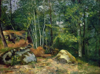 Coin de forêt