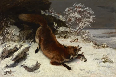 Renard dans la neige