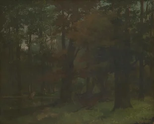Dans la forêt