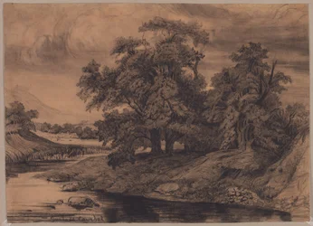 Paysage avec de grands arbres