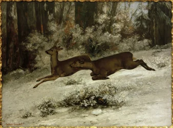 Le Change, épisode de chasse au chevreuil en Franche-Comté