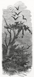 Un enterrement céleste celtique, 1866