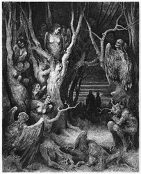 Harpies, illustration de « La Divine Comédie » (L