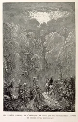 Illustration de la forêt américaine. de La légende de Croque-Mitaine.
