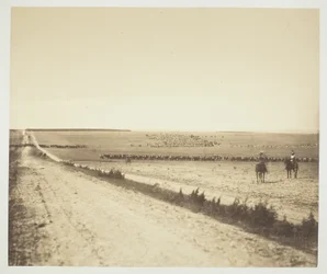 Manœuvres, Camp de Châlons