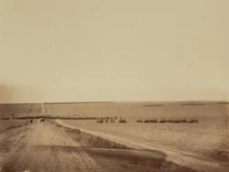 Manœuvres, Camp de Châlons