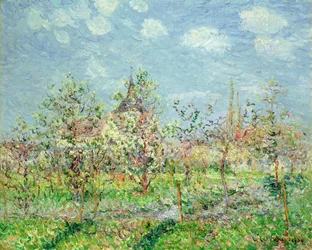 Verger en fleur