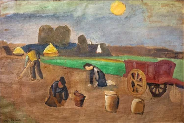 Récolte de pommes de terre