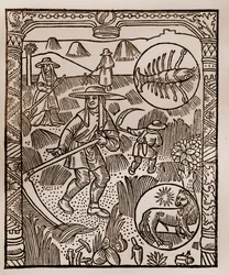 Calendrier des bergers - Les travaux des mois - Juillet - Gravure sur bois du livre de 1496 imprimé par Guy Marchant (Guido Mercator) à Troyes - Foin, la coupe des foins - Gravure sur bois dans « Le grand Calendrier et compost des bergers »