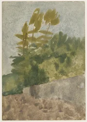 Arbres